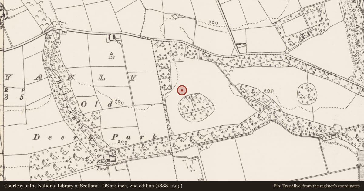 Ordnance Survey six-inch map, 2nd edition (1888–1915) covering the location of Ringfort - rath, Ardrum, County Cork, with a pin at the register's coordinates