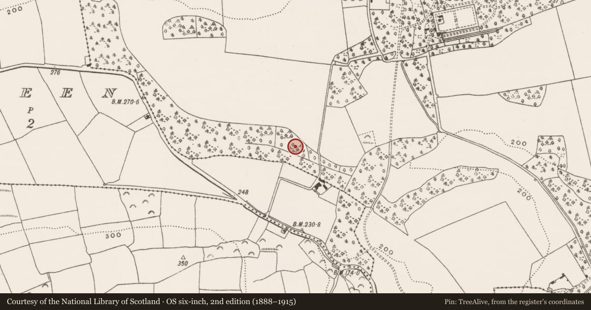 Ordnance Survey six-inch map, 2nd edition (1888–1915) covering the location of Designed landscape feature, Ardrum, County Cork, with a pin at the register's coordinates
