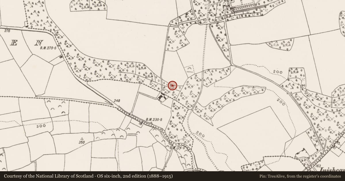 Ordnance Survey six-inch map, 2nd edition (1888–1915) covering the location of Designed landscape feature, Ardrum, County Cork, with a pin at the register's coordinates