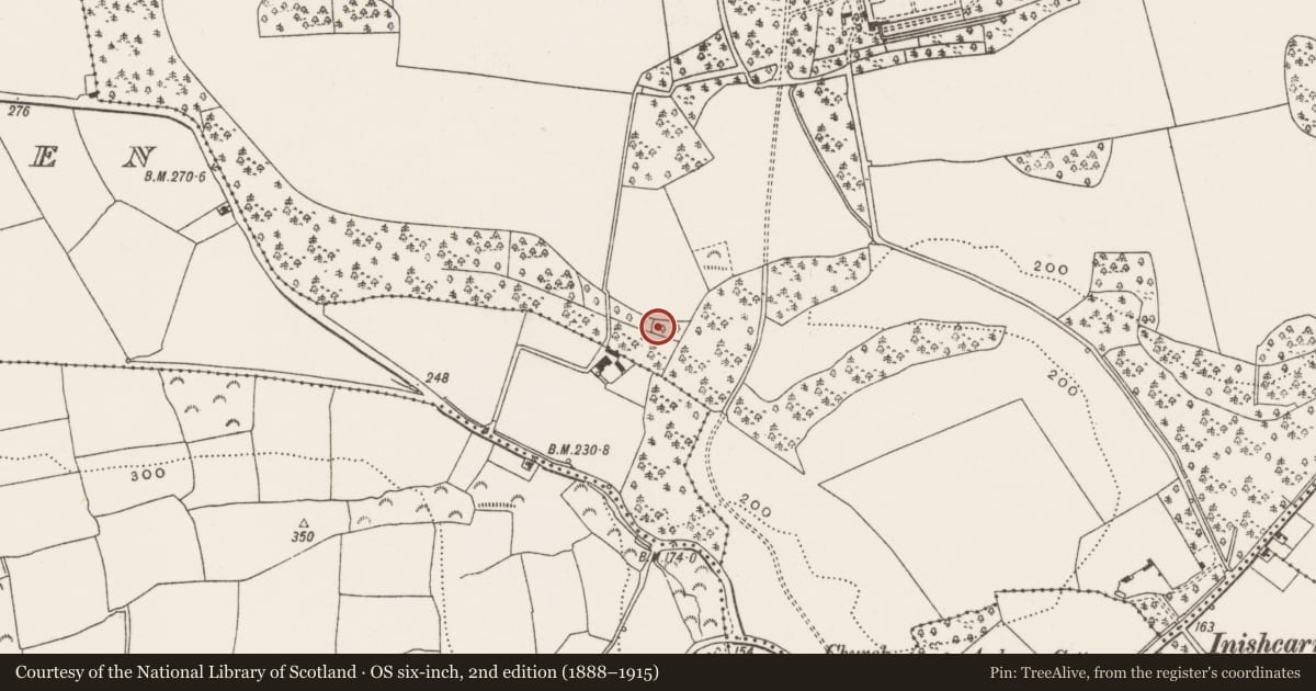 Ordnance Survey six-inch map, 2nd edition (1888–1915) covering the location of Standing stone, Ardrum, County Cork, with a pin at the register's coordinates