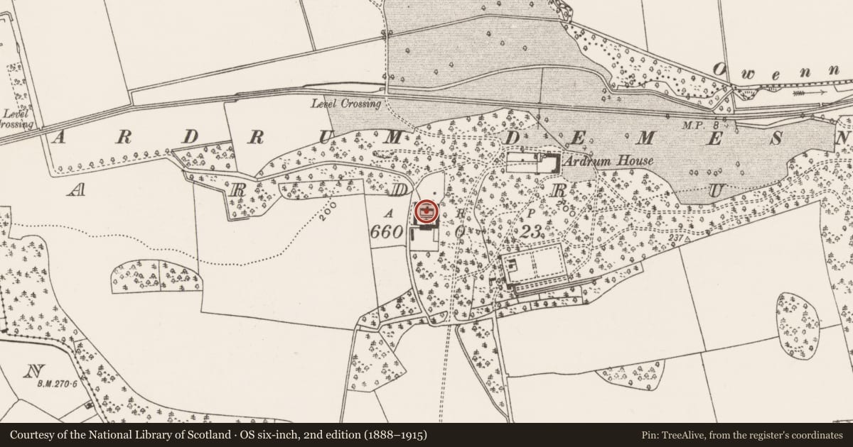 Ordnance Survey six-inch map, 2nd edition (1888–1915) covering the location of Building, Ardrum, County Cork, with a pin at the register's coordinates