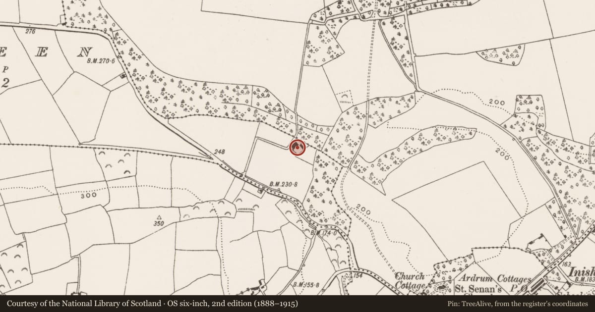 Ordnance Survey six-inch map, 2nd edition (1888–1915) covering the location of School, Gurteen, County Cork, with a pin at the register's coordinates