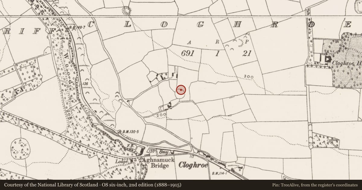 Ordnance Survey six-inch map, 2nd edition (1888–1915) covering the location of Ringfort - rath, Cloghroe, County Cork, with a pin at the register's coordinates