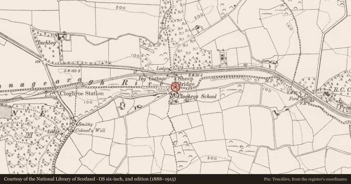 Ordnance Survey six-inch map, 2nd edition (1888–1915) covering the location of Bridge, Cloghroe, Dromin, County Cork, with a pin at the register's coordinates