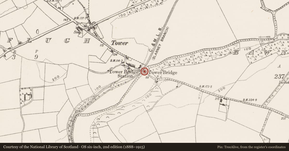 Ordnance Survey six-inch map, 2nd edition (1888–1915) covering the location of Bridge, Coolflugh, County Cork, with a pin at the register's coordinates