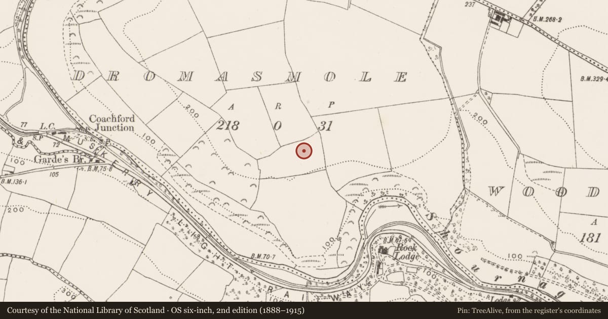 Ordnance Survey six-inch map, 2nd edition (1888–1915) covering the location of Standing stone, Dromasmole, County Cork, with a pin at the register's coordinates