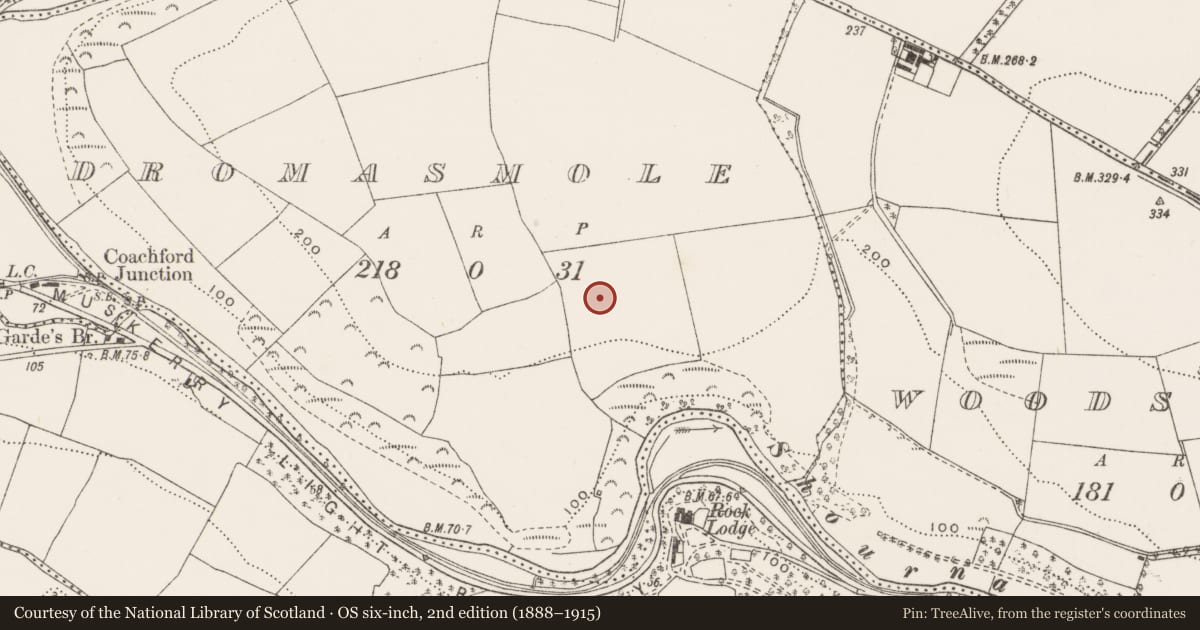 Ordnance Survey six-inch map, 2nd edition (1888–1915) covering the location of Standing stone, Dromasmole, County Cork, with a pin at the register's coordinates