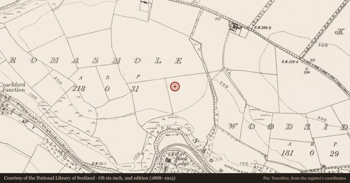 Ordnance Survey six-inch map, 2nd edition (1888–1915) covering the location of Standing stone, Dromasmole, County Cork, with a pin at the register's coordinates