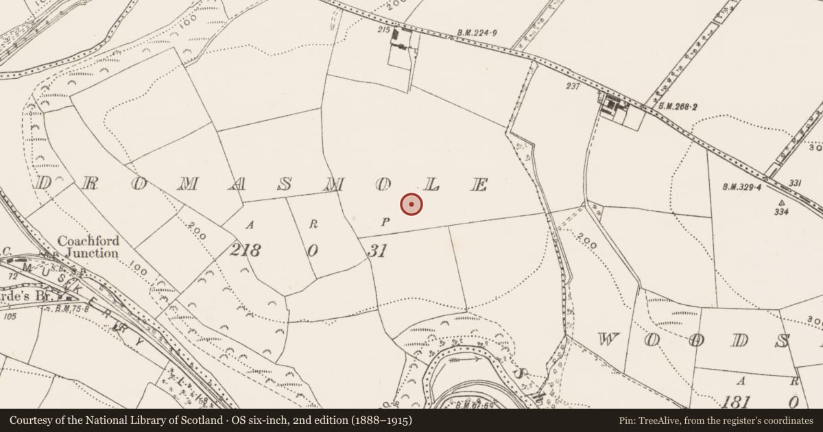 Ordnance Survey six-inch map, 2nd edition (1888–1915) covering the location of Standing stone, Dromasmole, County Cork, with a pin at the register's coordinates