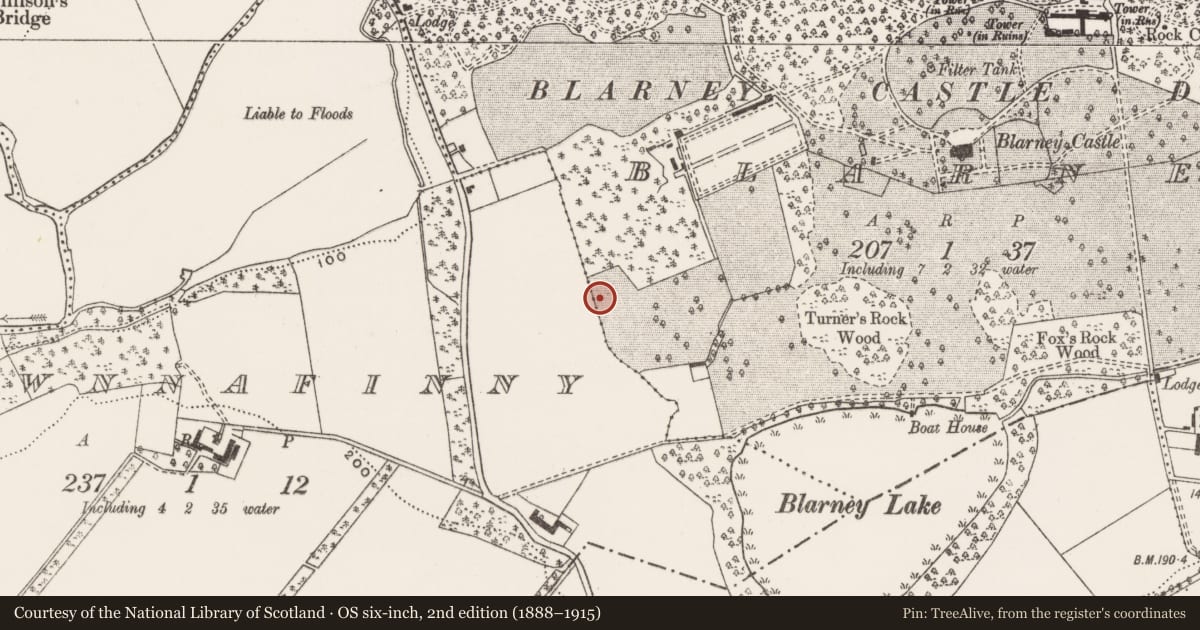 Ordnance Survey six-inch map, 2nd edition (1888–1915) covering the location of Quarry, Blarney, County Cork, with a pin at the register's coordinates