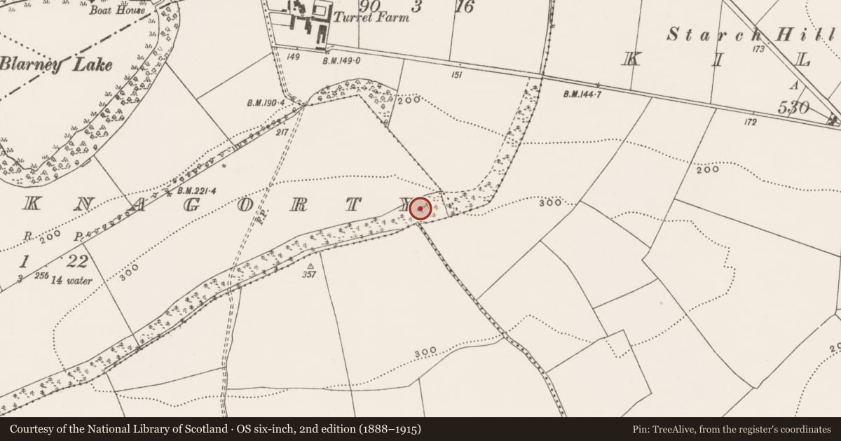 Ordnance Survey six-inch map, 2nd edition (1888–1915) covering the location of Enclosure, Knocknagorty, County Cork, with a pin at the register's coordinates
