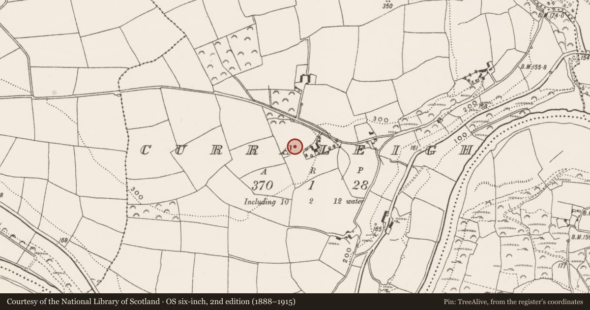 Ordnance Survey six-inch map, 2nd edition (1888–1915) covering the location of Ringfort - rath, Curraleigh, County Cork, with a pin at the register's coordinates