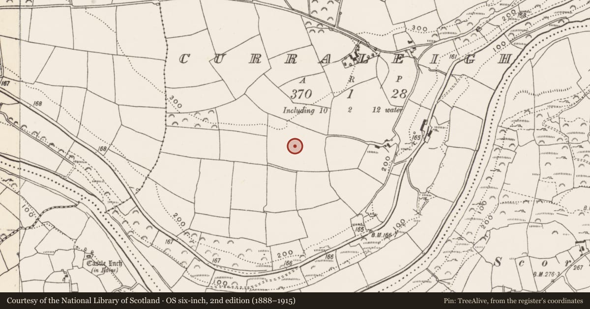 Ordnance Survey six-inch map, 2nd edition (1888–1915) covering the location of Standing stone, Curraleigh, County Cork, with a pin at the register's coordinates