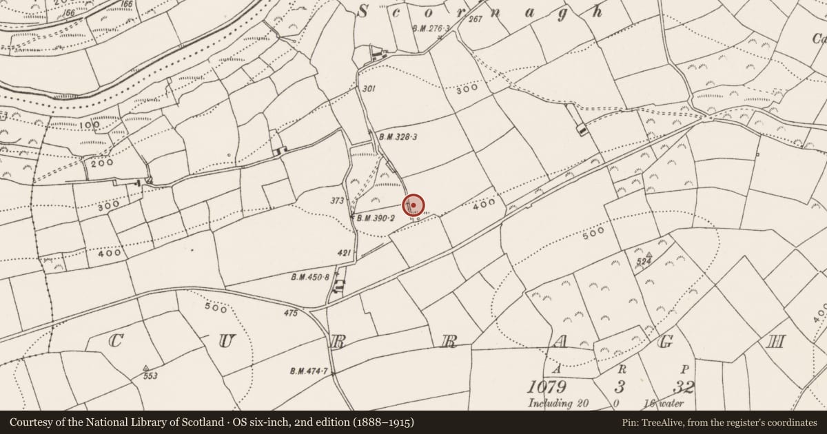Ordnance Survey six-inch map, 2nd edition (1888–1915) covering the location of Fulacht fia, Curraghbeg, County Cork, with a pin at the register's coordinates