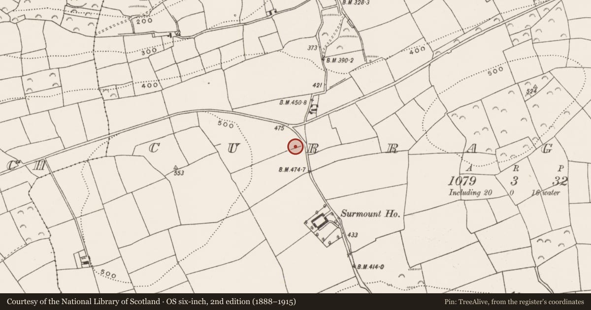 Ordnance Survey six-inch map, 2nd edition (1888–1915) covering the location of Standing stone, Curraghbeg, County Cork, with a pin at the register's coordinates