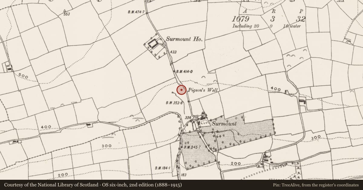 Ordnance Survey six-inch map, 2nd edition (1888–1915) covering the location of Fulacht fia, Curraghbeg, County Cork, with a pin at the register's coordinates