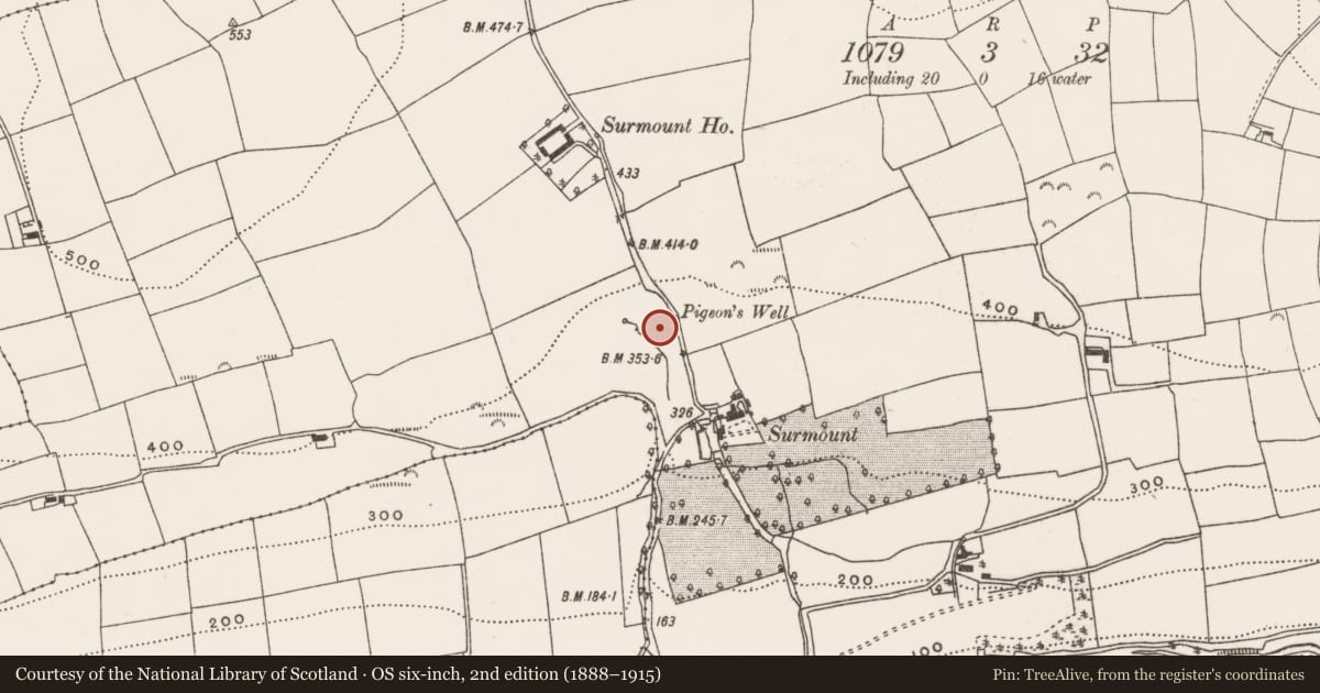 Ordnance Survey six-inch map, 2nd edition (1888–1915) covering the location of Fulacht fia, Curraghbeg, County Cork, with a pin at the register's coordinates