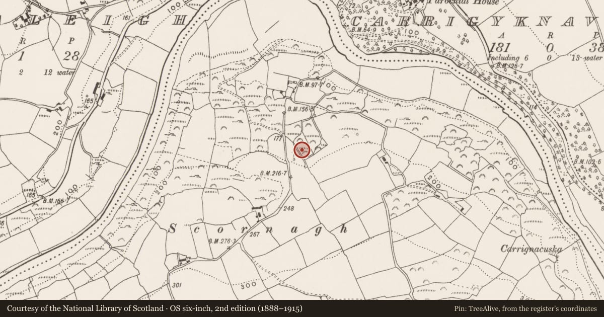 Ordnance Survey six-inch map, 2nd edition (1888–1915) covering the location of Fulacht fia, Curraghbeg, County Cork, with a pin at the register's coordinates