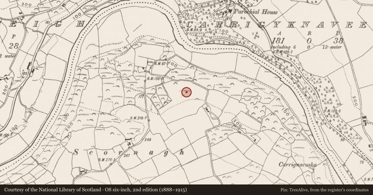 Ordnance Survey six-inch map, 2nd edition (1888–1915) covering the location of Fulacht fia, Curraghbeg, County Cork, with a pin at the register's coordinates