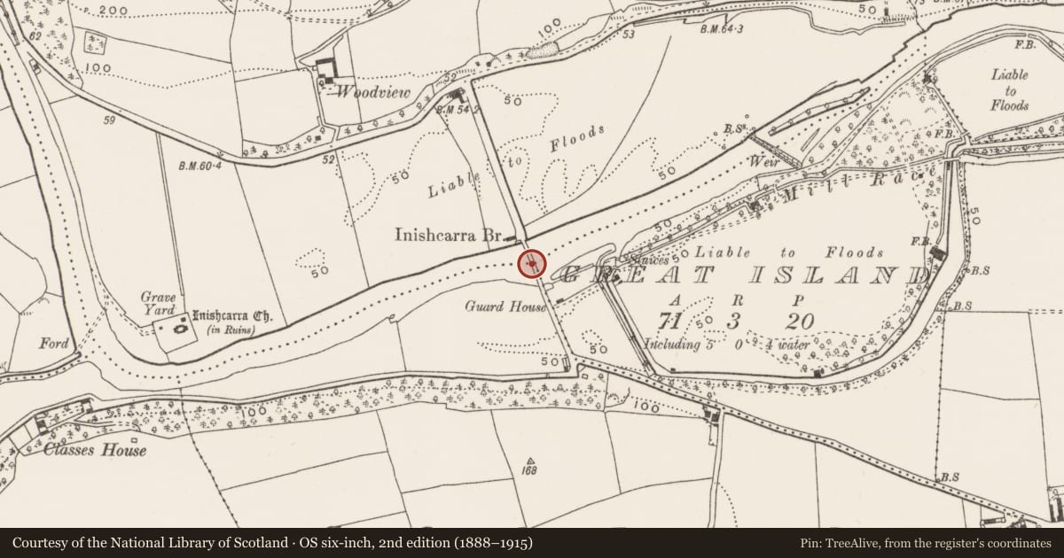 Ordnance Survey six-inch map, 2nd edition (1888–1915) covering the location of Bridge, County Cork, with a pin at the register's coordinates