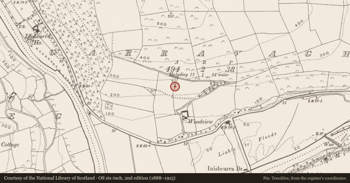 Ordnance Survey six-inch map, 2nd edition (1888–1915) covering the location of Designed landscape - tree-ring, Garravagh, County Cork, with a pin at the register's coordinates