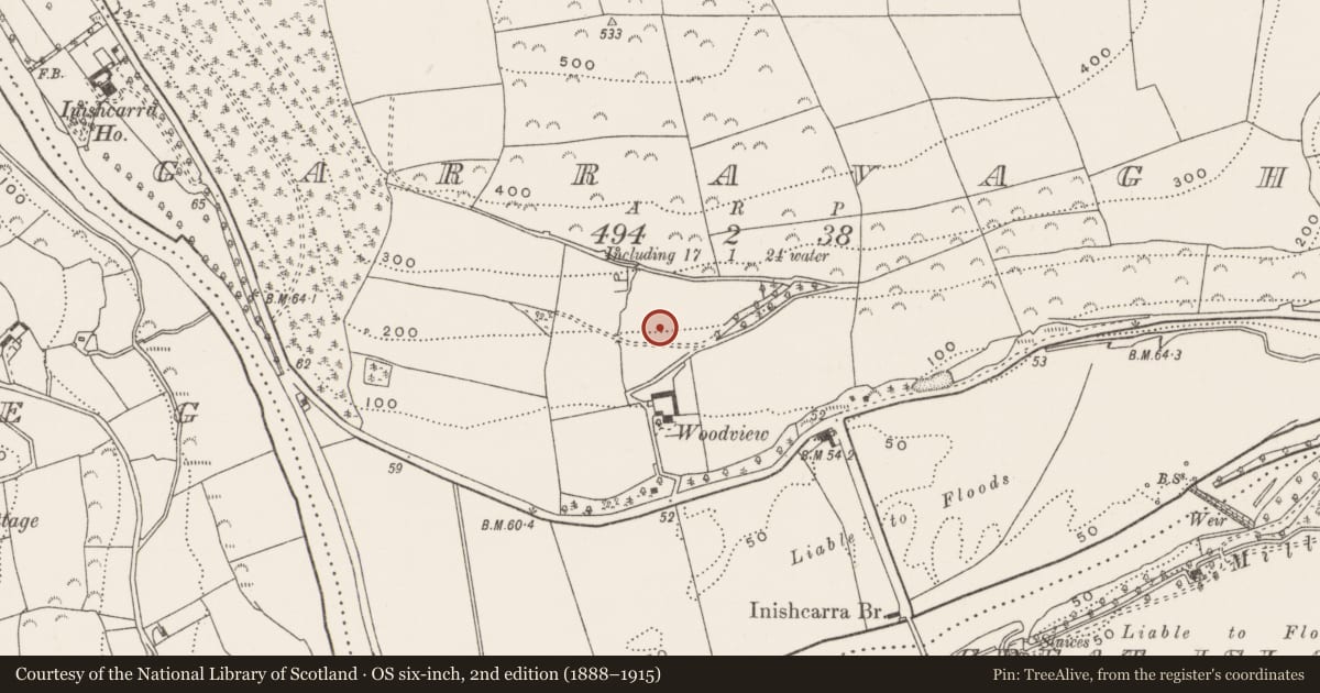 Ordnance Survey six-inch map, 2nd edition (1888–1915) covering the location of Designed landscape - tree-ring, Garravagh, County Cork, with a pin at the register's coordinates