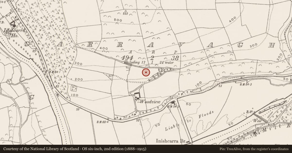Ordnance Survey six-inch map, 2nd edition (1888–1915) covering the location of Designed landscape - tree-ring, Garravagh, County Cork, with a pin at the register's coordinates