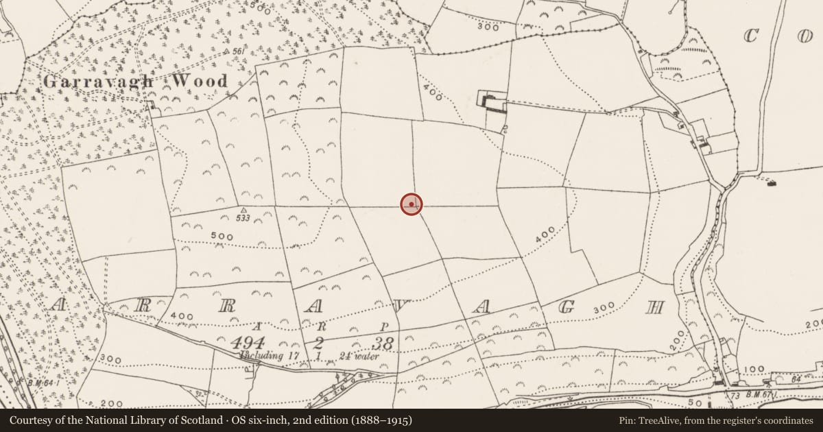 Ordnance Survey six-inch map, 2nd edition (1888–1915) covering the location of Standing stone, Garravagh, County Cork, with a pin at the register's coordinates
