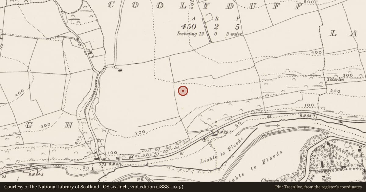 Ordnance Survey six-inch map, 2nd edition (1888–1915) covering the location of Fulacht fia, Coolyduff, County Cork, with a pin at the register's coordinates