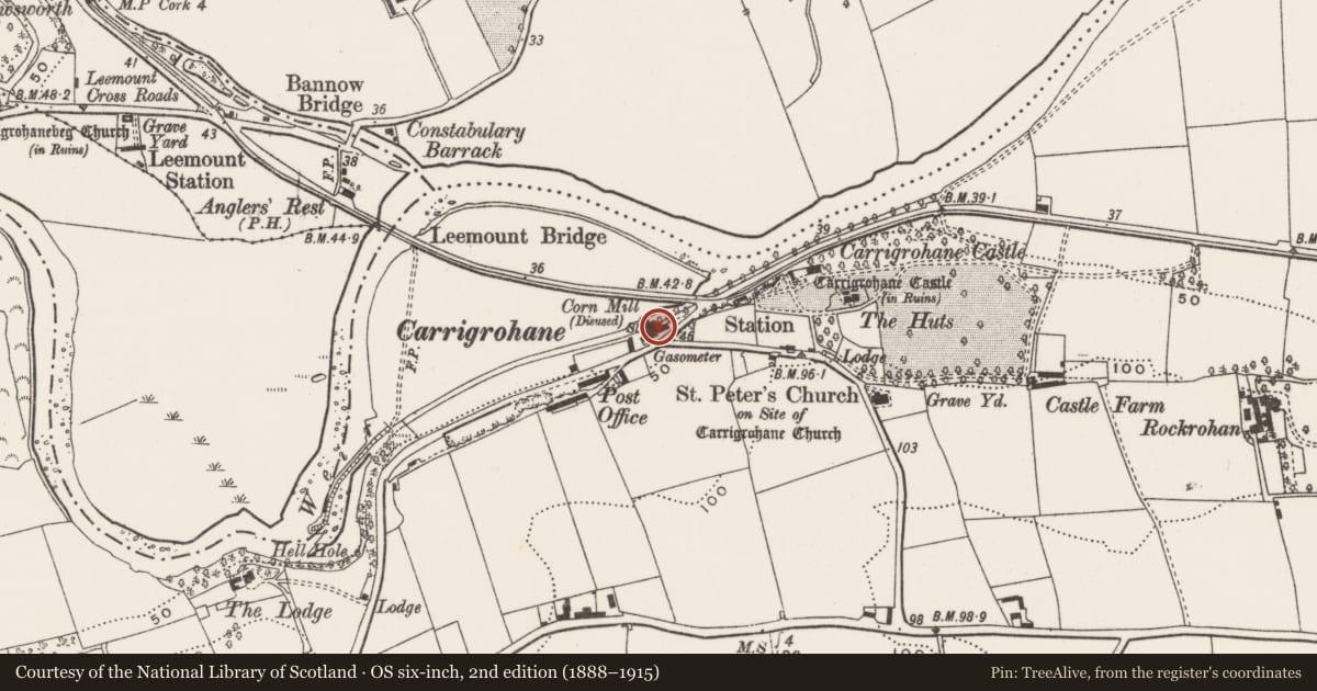 Ordnance Survey six-inch map, 2nd edition (1888–1915) covering the location of Mill - corn, Carrigrohane, County Cork, with a pin at the register's coordinates