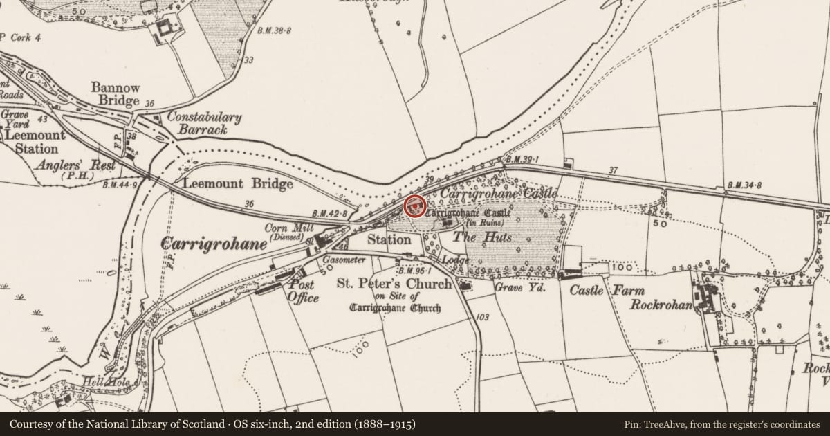 Ordnance Survey six-inch map, 2nd edition (1888–1915) covering the location of Castle - Anglo-Norman masonry castle, Carrigrohane, County Cork, with a pin at the register's coordinates