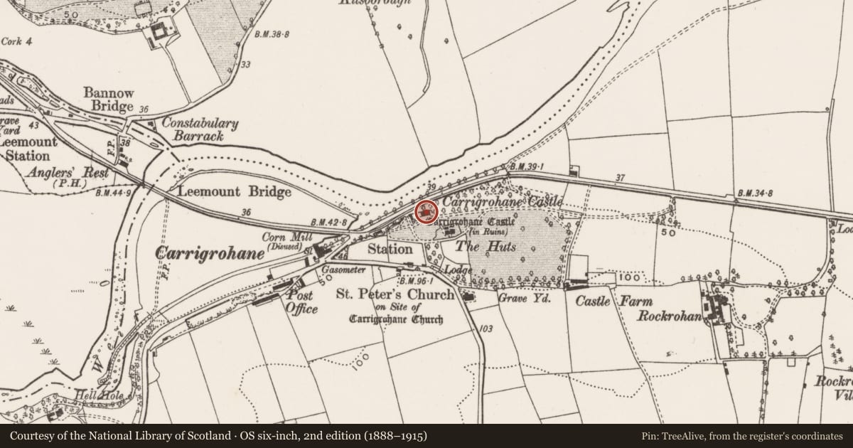 Ordnance Survey six-inch map, 2nd edition (1888–1915) covering the location of House - fortified house, Carrigrohane, County Cork, with a pin at the register's coordinates