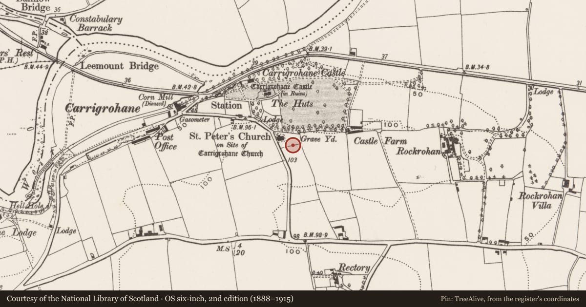 Ordnance Survey six-inch map, 2nd edition (1888–1915) covering the location of Graveyard, Carrigrohane, County Cork, with a pin at the register's coordinates