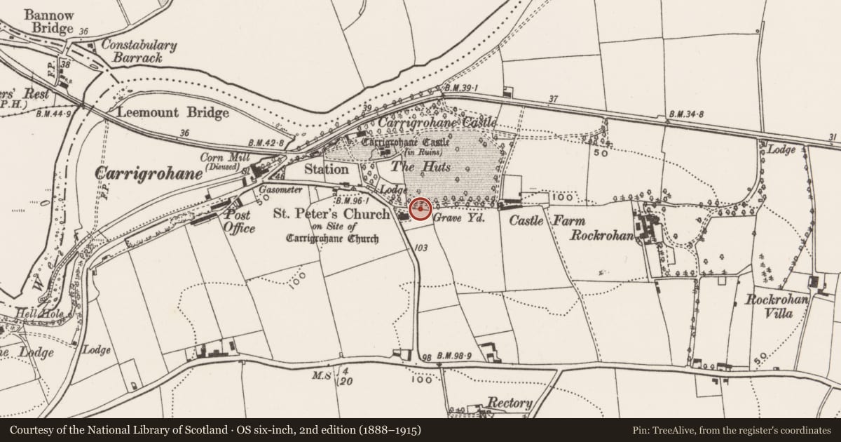 Ordnance Survey six-inch map, 2nd edition (1888–1915) covering the location of Church, Carrigrohane, County Cork, with a pin at the register's coordinates