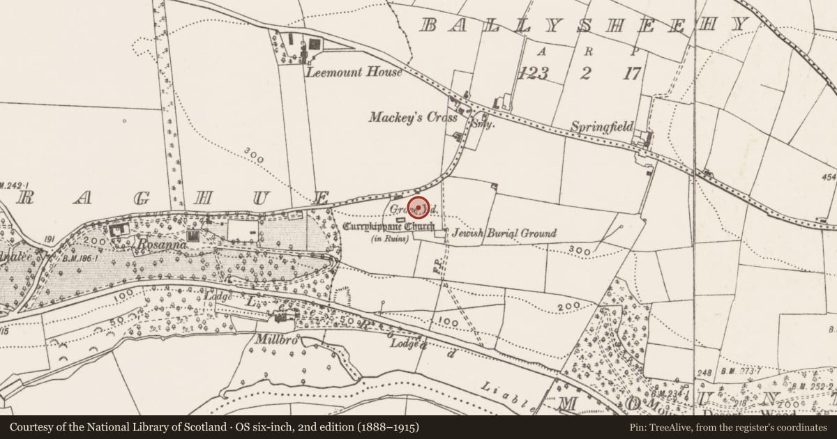 Ordnance Survey six-inch map, 2nd edition (1888–1915) covering the location of Graveyard, Mountdesert, County Cork, with a pin at the register's coordinates