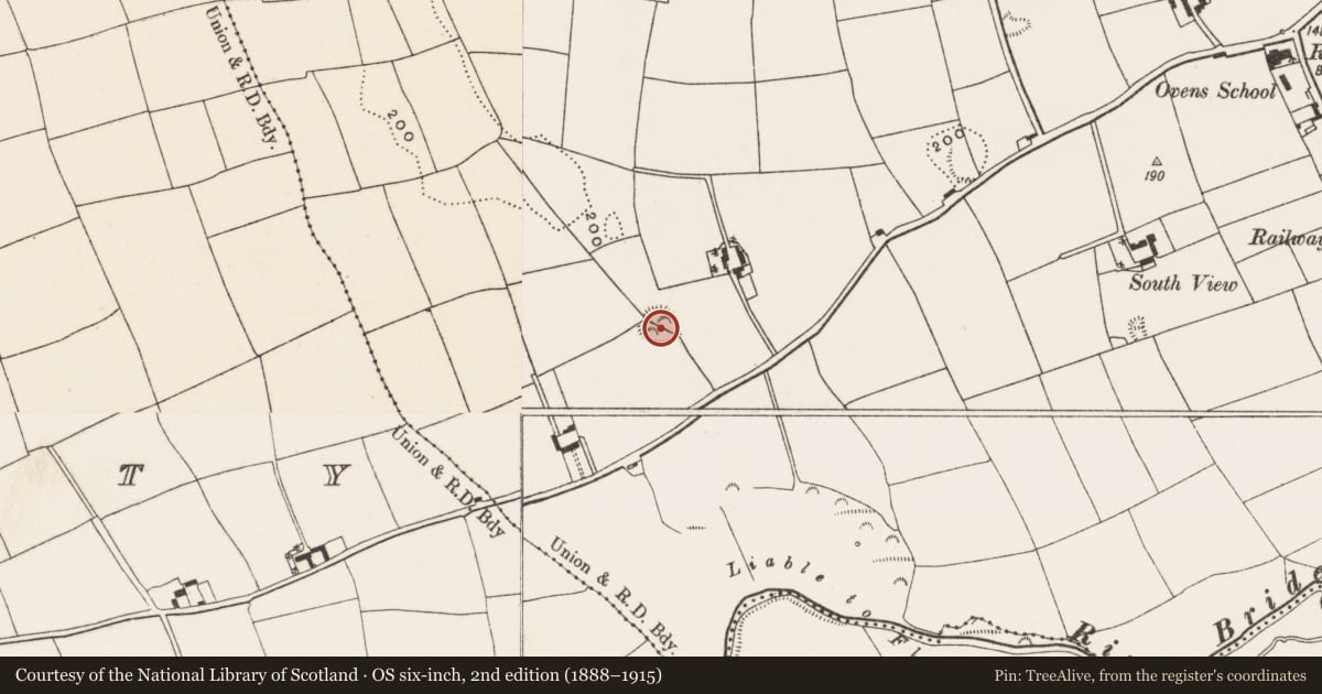 Ordnance Survey six-inch map, 2nd edition (1888–1915) covering the location of Earthwork, Knockanemore, County Cork, with a pin at the register's coordinates
