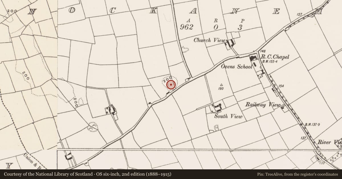 Ordnance Survey six-inch map, 2nd edition (1888–1915) covering the location of Ringfort - rath, Knockanemore, County Cork, with a pin at the register's coordinates