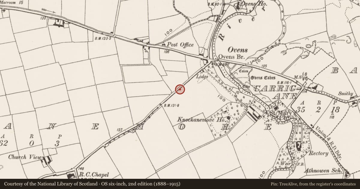 Ordnance Survey six-inch map, 2nd edition (1888–1915) covering the location of Souterrain, Knockanemore, County Cork, with a pin at the register's coordinates