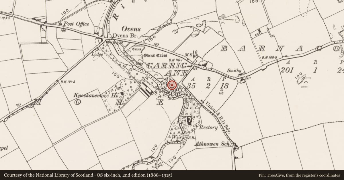 Ordnance Survey six-inch map, 2nd edition (1888–1915) covering the location of Graveyard, Carrigane, County Cork, with a pin at the register's coordinates