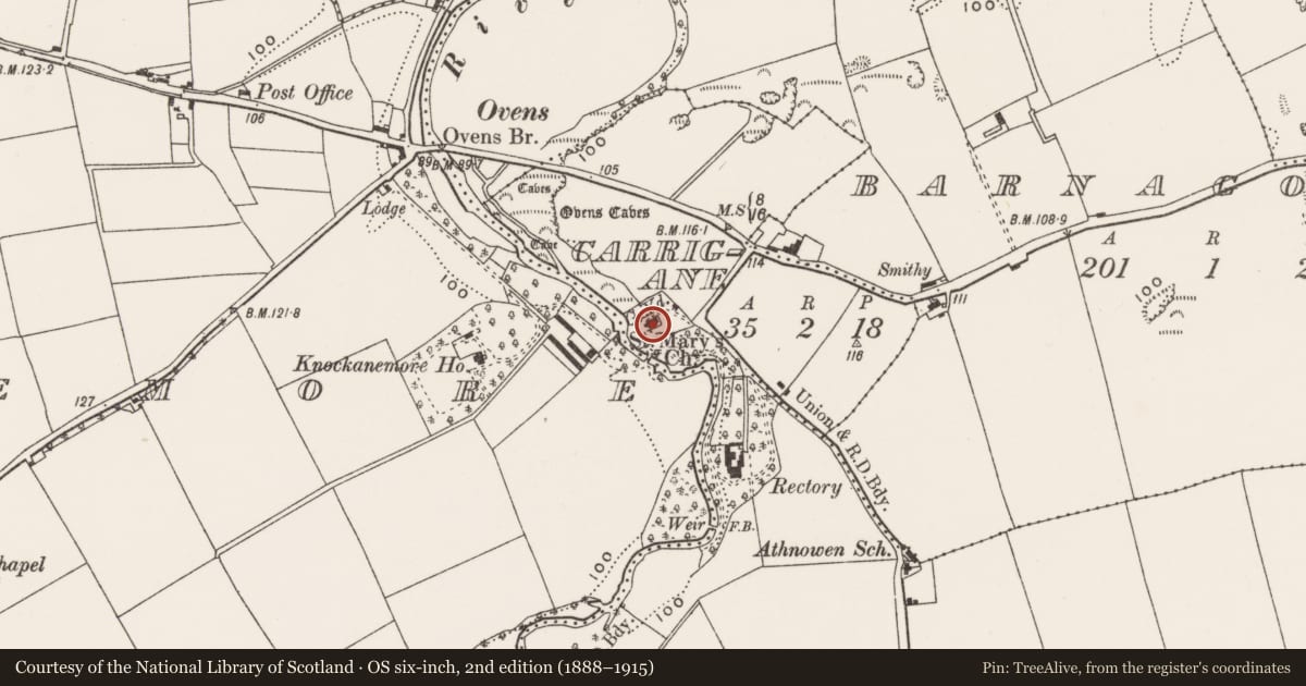 Ordnance Survey six-inch map, 2nd edition (1888–1915) covering the location of Church, Carrigane, County Cork, with a pin at the register's coordinates