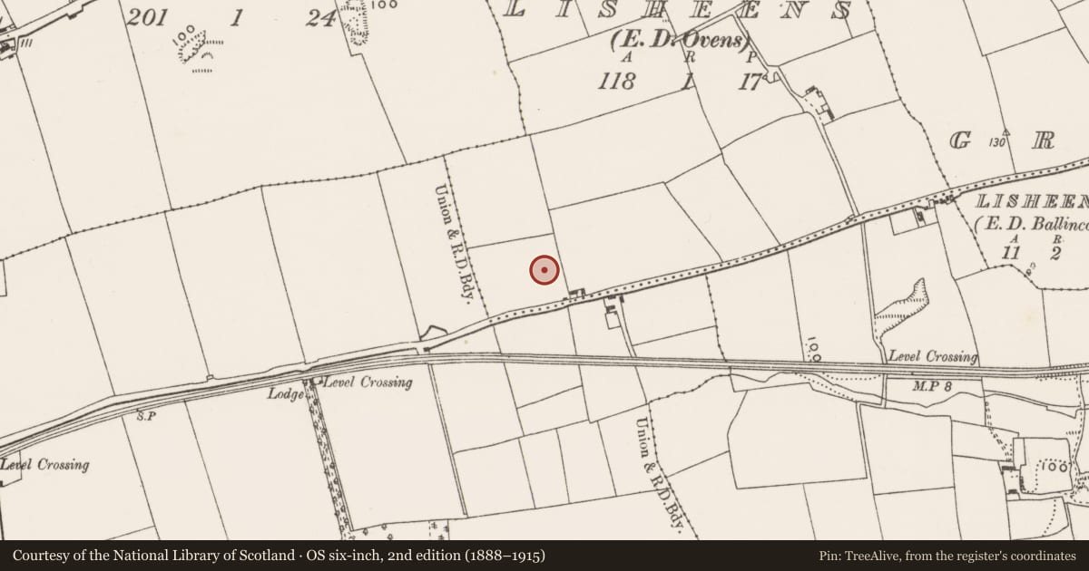 Ordnance Survey six-inch map, 2nd edition (1888–1915) covering the location of Souterrain, Lisheens, County Cork, with a pin at the register's coordinates