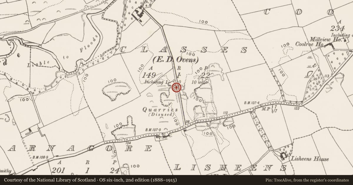 Ordnance Survey six-inch map, 2nd edition (1888–1915) covering the location of Kiln - lime, Classes (Muskerry East By., Athnowen Par.), County Cork, with a pin at the register's coordinates