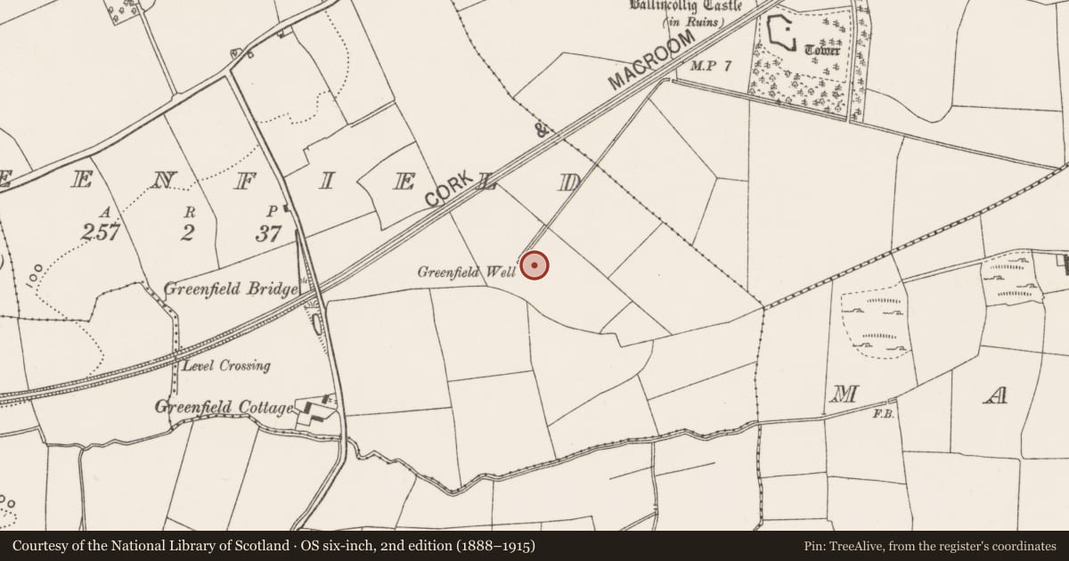 Ordnance Survey six-inch map, 2nd edition (1888–1915) covering the location of Fulacht fia, Greenfield, County Cork, with a pin at the register's coordinates