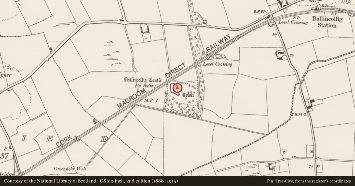 Ordnance Survey six-inch map, 2nd edition (1888–1915) covering the location of Castle - tower house, Ballincollig (Muskerry East By., Carrigrohane Par.), County Cork, with a pin at the register's coordinates
