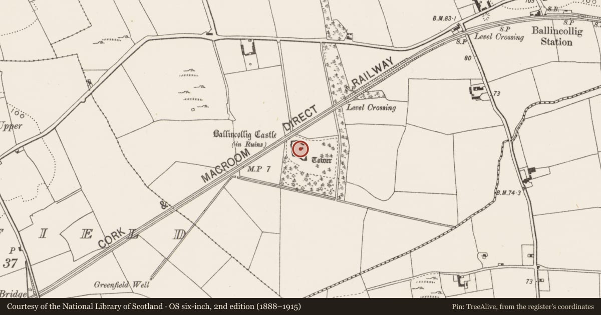 Ordnance Survey six-inch map, 2nd edition (1888–1915) covering the location of Bawn, Ballincollig (Muskerry East By., Carrigrohane Par.), County Cork, with a pin at the register's coordinates