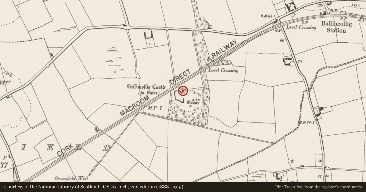 Ordnance Survey six-inch map, 2nd edition (1888–1915) covering the location of Cave, Ballincollig (Muskerry East By., Carrigrohane Par.), County Cork, with a pin at the register's coordinates