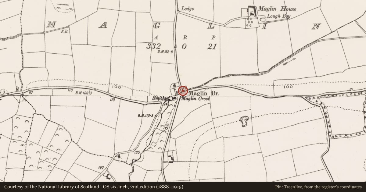 Ordnance Survey six-inch map, 2nd edition (1888–1915) covering the location of Bridge, Ballynora, Maglin, County Cork, with a pin at the register's coordinates