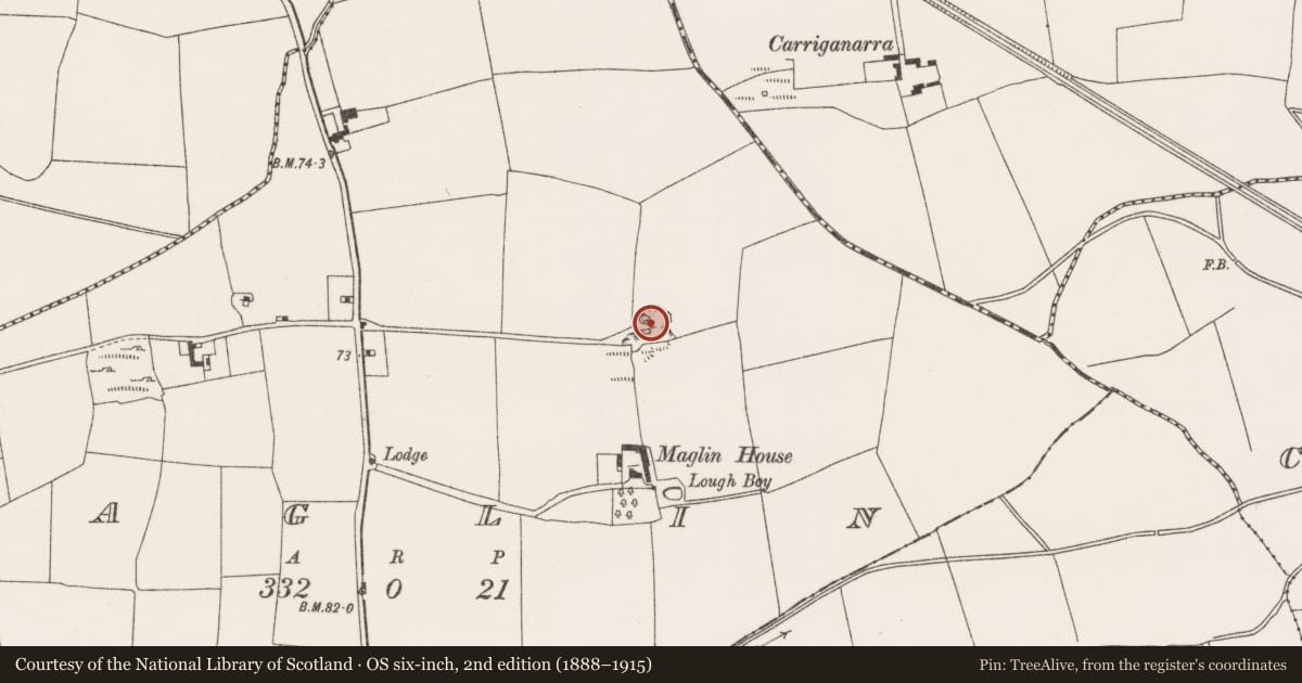 Ordnance Survey six-inch map, 2nd edition (1888–1915) covering the location of Kiln - lime, Maglin, County Cork, with a pin at the register's coordinates