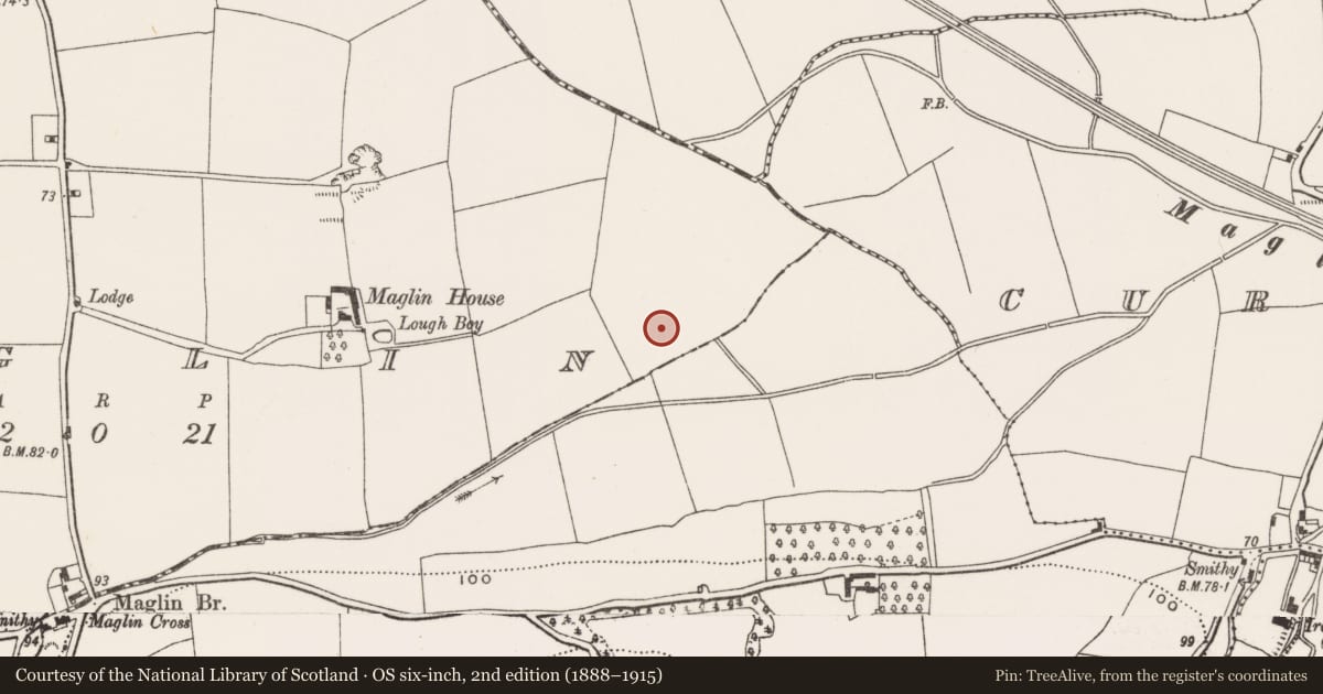 Ordnance Survey six-inch map, 2nd edition (1888–1915) covering the location of Fulacht fia, Maglin, County Cork, with a pin at the register's coordinates