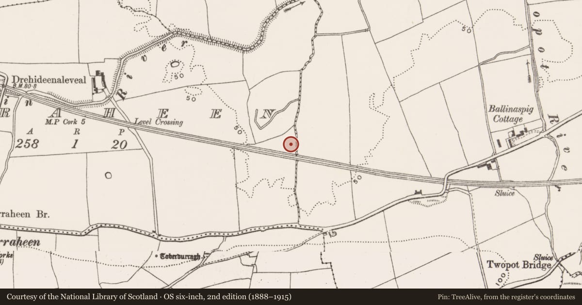 Ordnance Survey six-inch map, 2nd edition (1888–1915) covering the location of Fulacht fia, Curraheen (Cork By., Inishkenny Par.), County Cork, with a pin at the register's coordinates